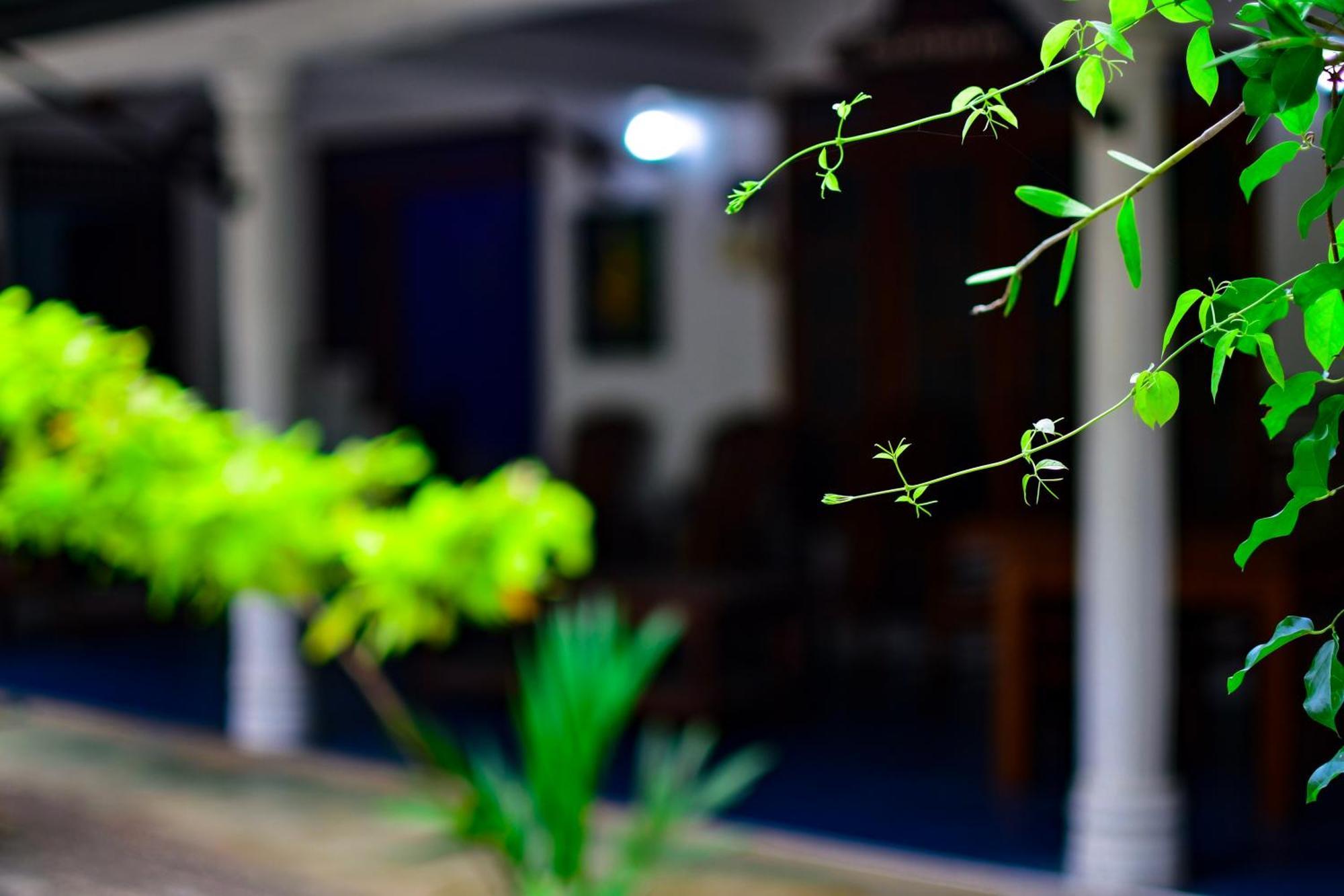 Tourist Holiday Inn Dambulla Exteriér fotografie